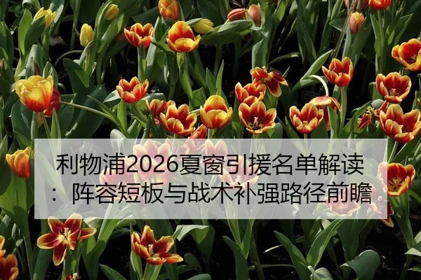 利物浦2026夏窗引援名单解读：阵容短板与战术补强路径前瞻
